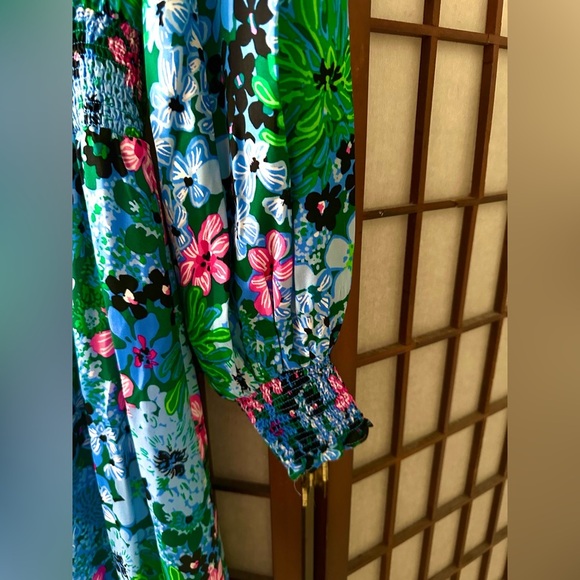 Lilly Pulitzer dress - Picture 3 of 4